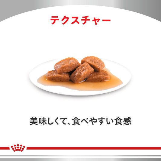 猫用　セレクトプロテイン チキン＆ライス ウェット パウチ