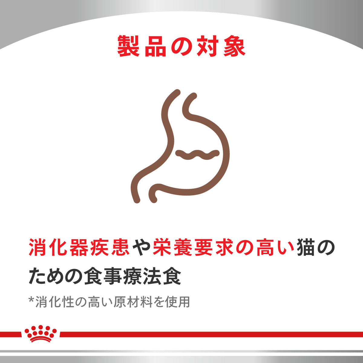 猫用　消化器サポート ウェット パウチ
