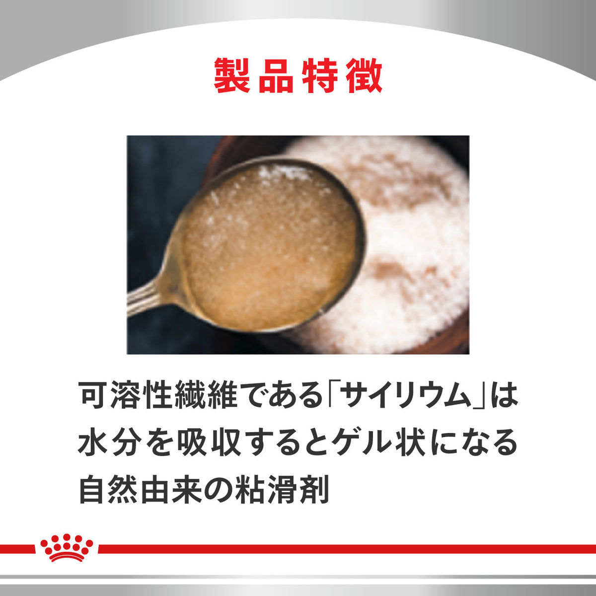 【数量限定】猫用　消化器サポート 可溶性繊維 ウェット パウチ　2個セット
