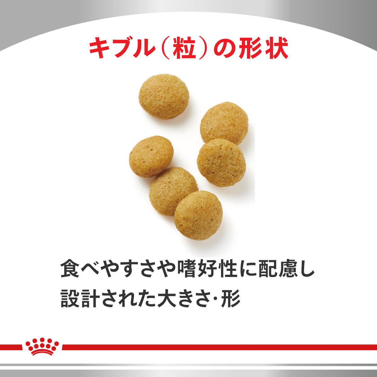 犬用　アミノペプチド フォーミュラ 小型犬用 ドライ