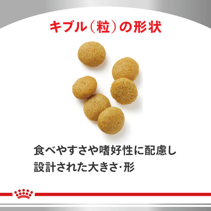 犬用　アミノペプチド フォーミュラ 小型犬用 ドライ