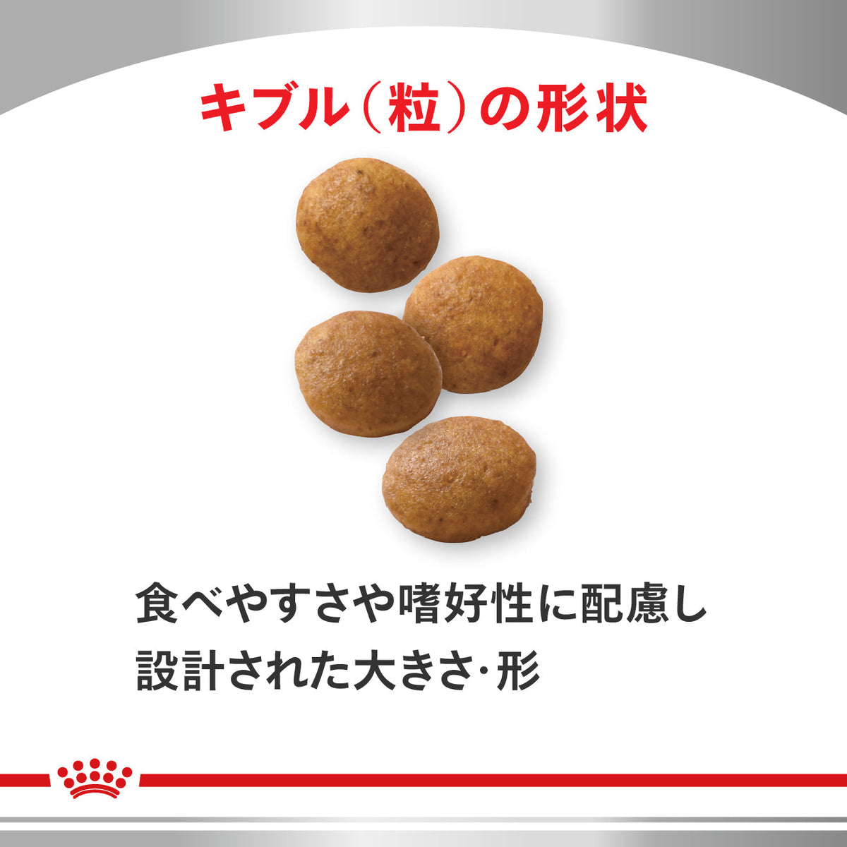 犬用　アミノペプチド フォーミュラ ドライ