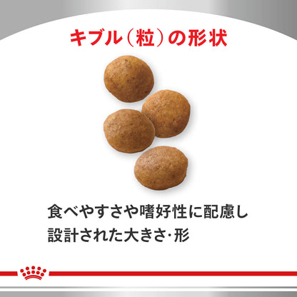 犬用　アミノペプチド フォーミュラ ドライ