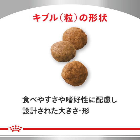 犬用　低分子プロテイン ドライ