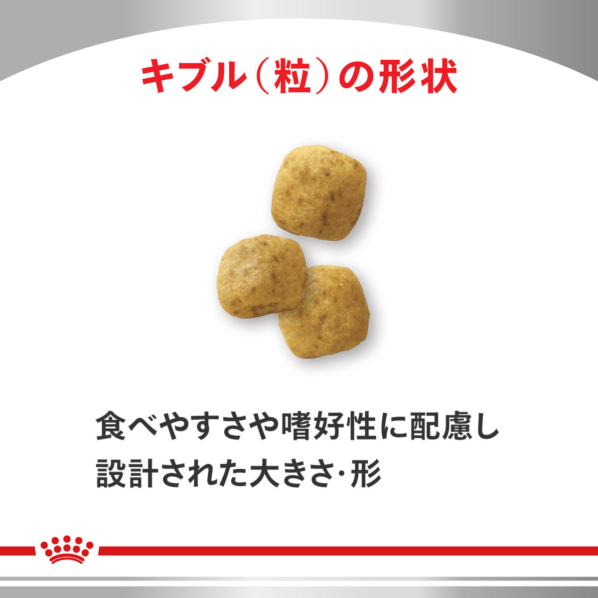 犬用　低分子プロテイン ライト ドライ