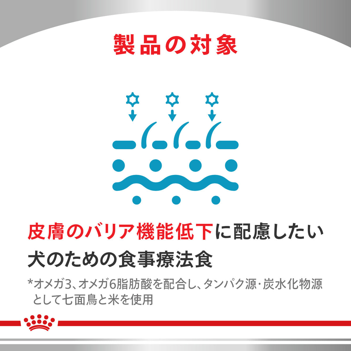 犬用　セレクトスキンケア ドライ