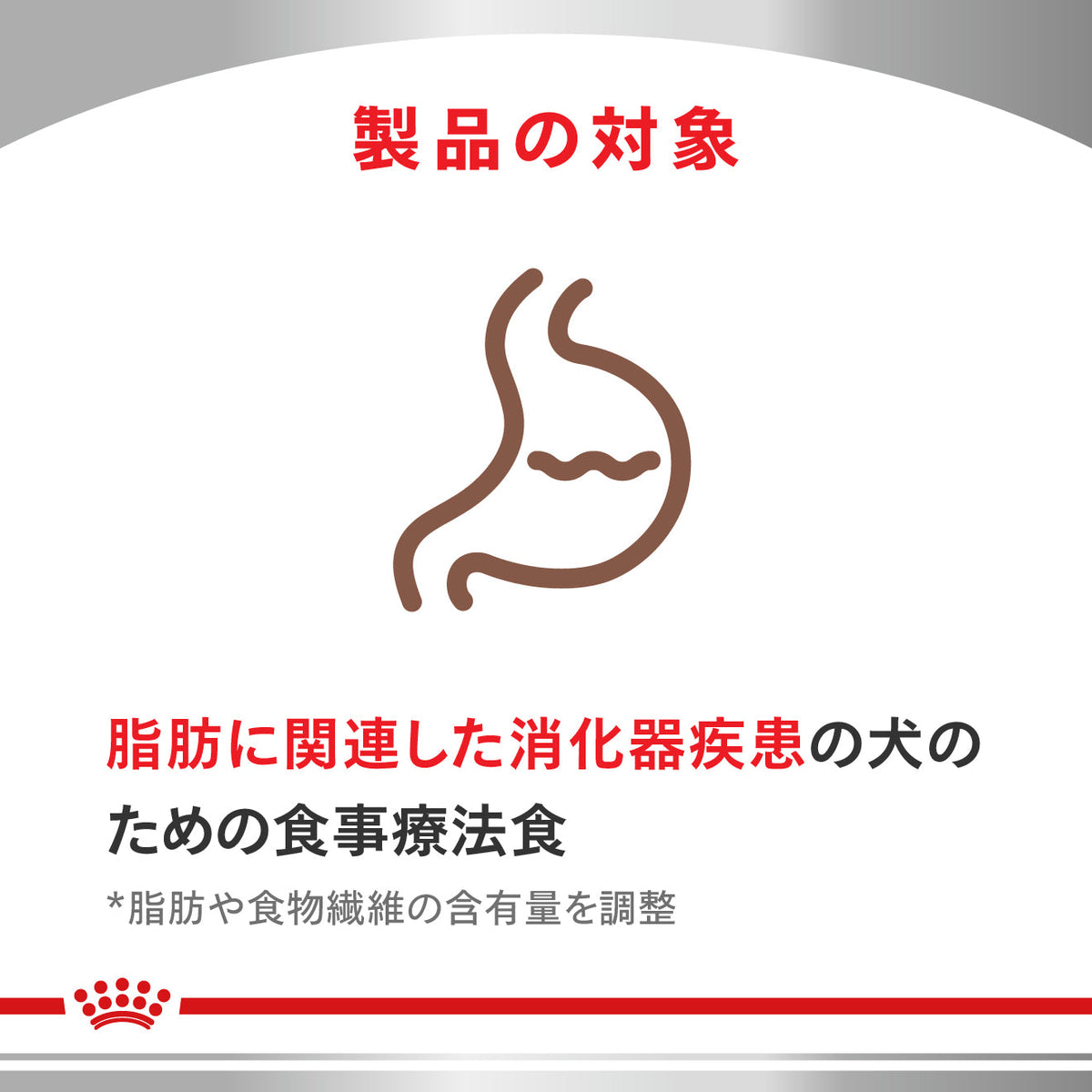犬用　消化器サポート 低脂肪 小型犬用 ドライ