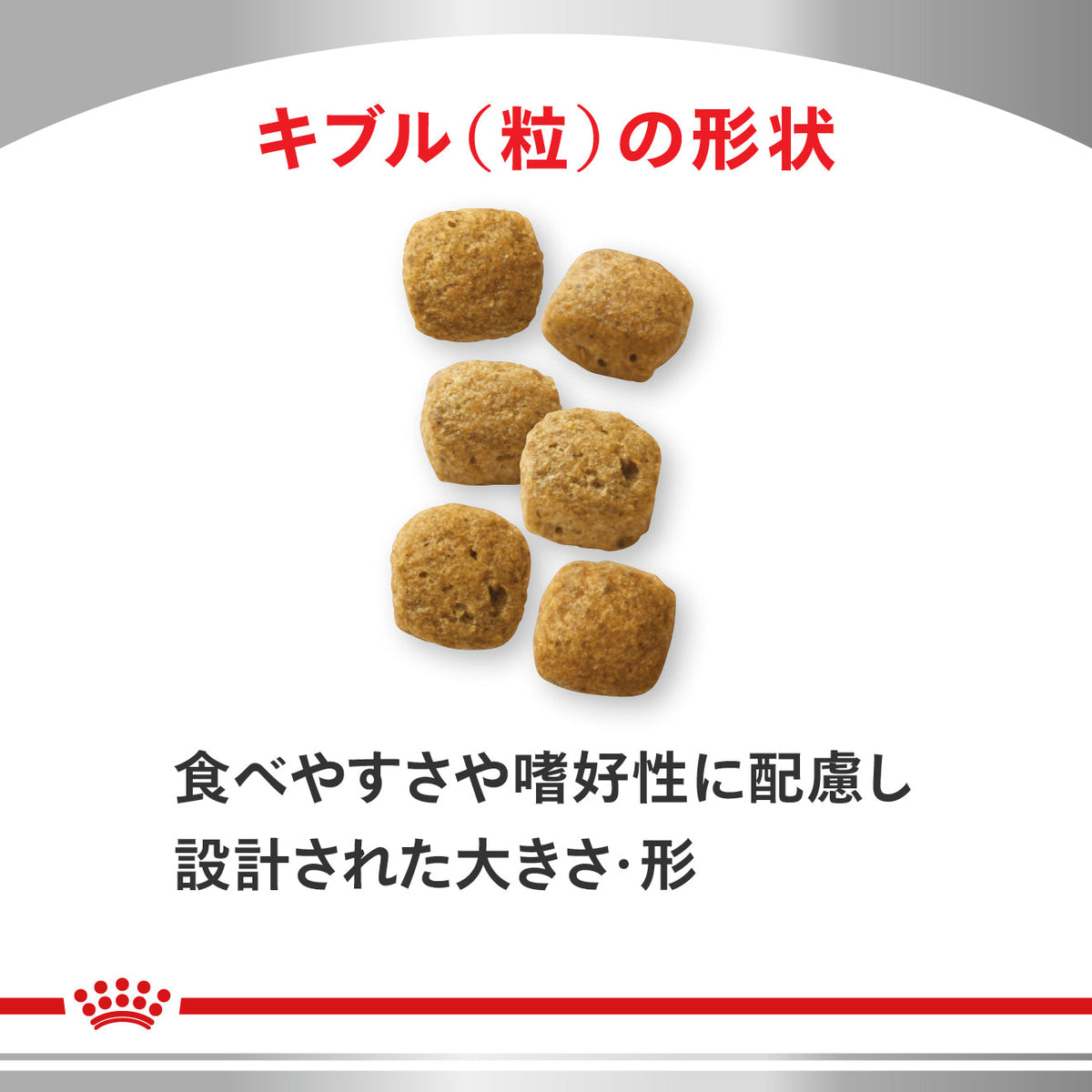 犬用　消化器サポート 低脂肪 ドライ