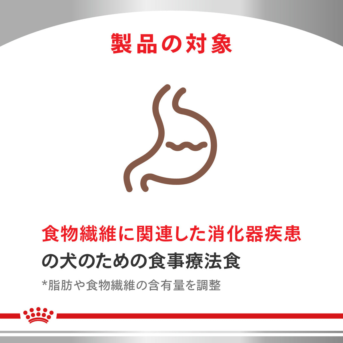 犬用　消化器サポート 高繊維 ウェット 缶