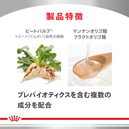犬用　消化器サポート 高繊維 ウェット 缶