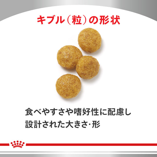 犬用　肝臓サポート ドライ