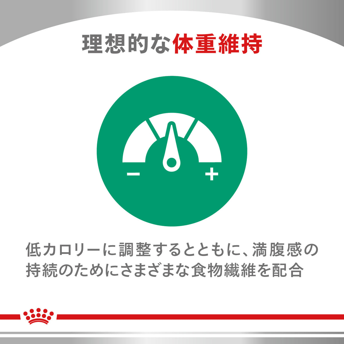 犬用　ニュータードケア ドライ