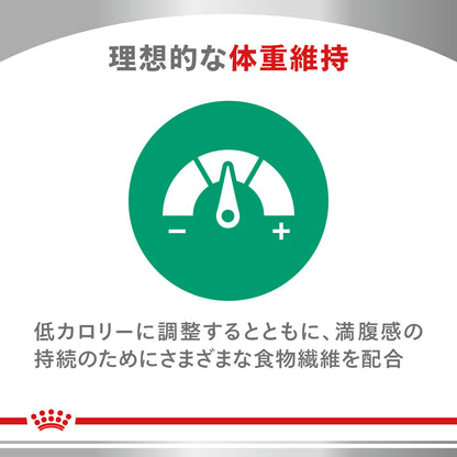 犬用　ニュータードケア ドライ