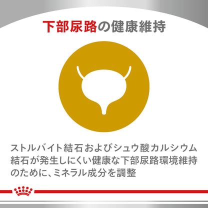 犬用　ニュータードケア ドライ