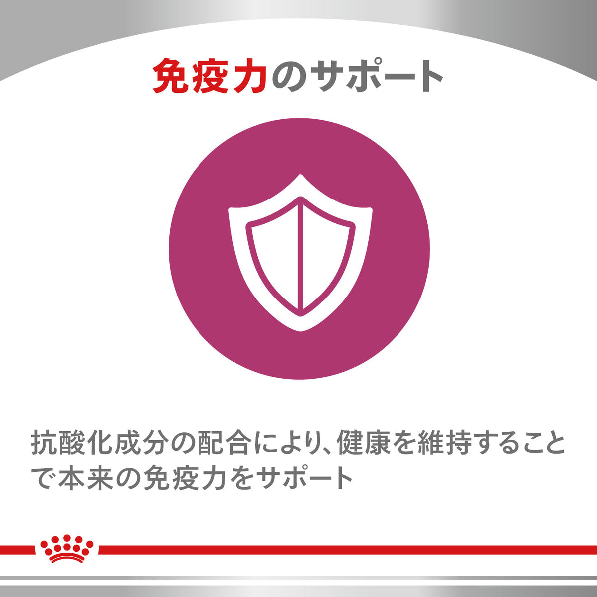 犬用　ニュータードケア ドライ