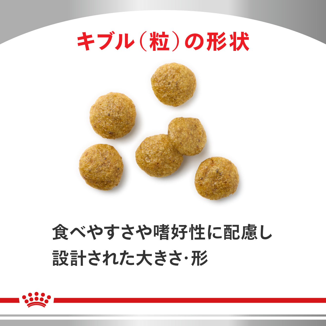 犬用 腎臓サポート＋低分子プロテイン 小粒 ドライ｜ ロイヤルカナン