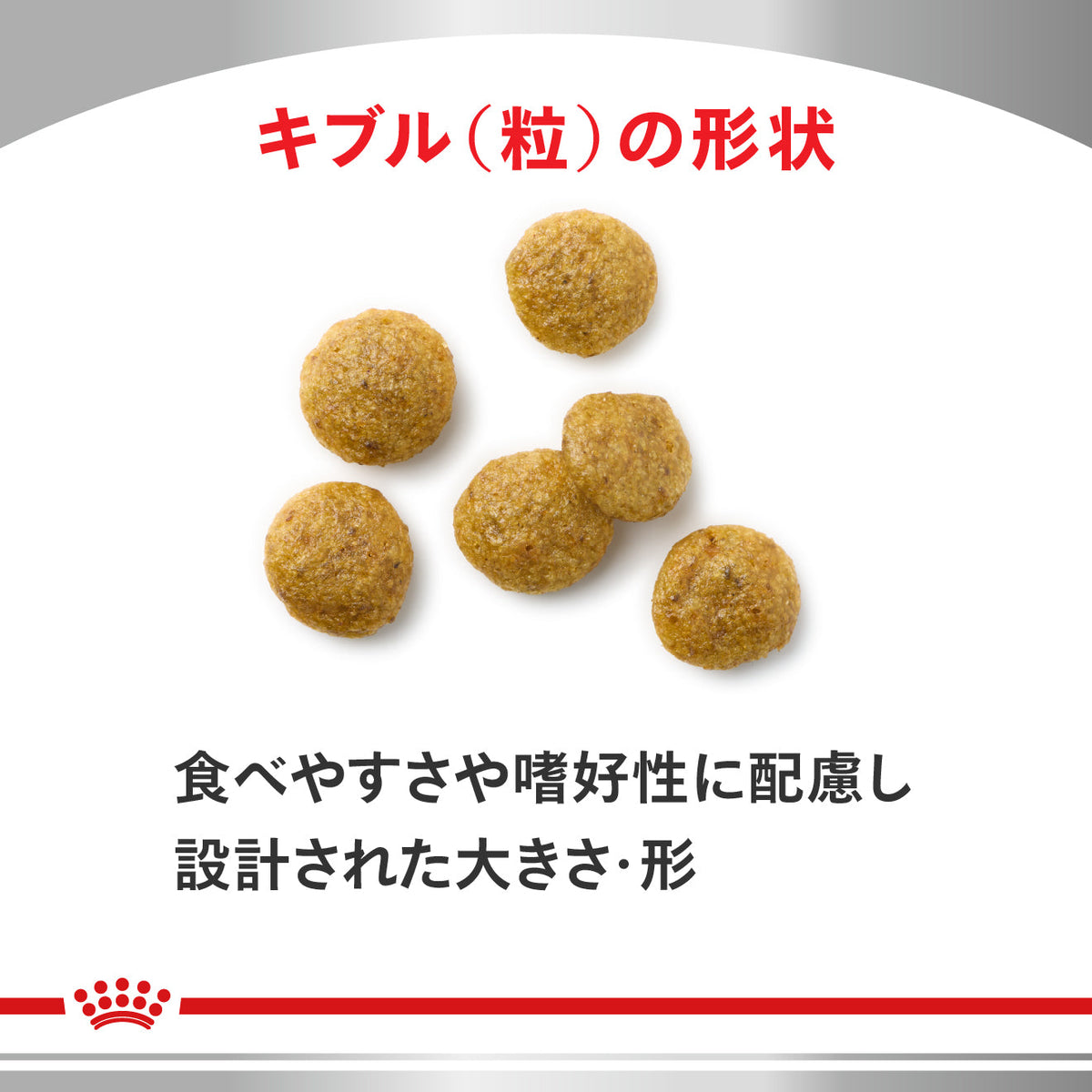 犬用　腎臓サポート＋低分子プロテイン 小粒 ドライ