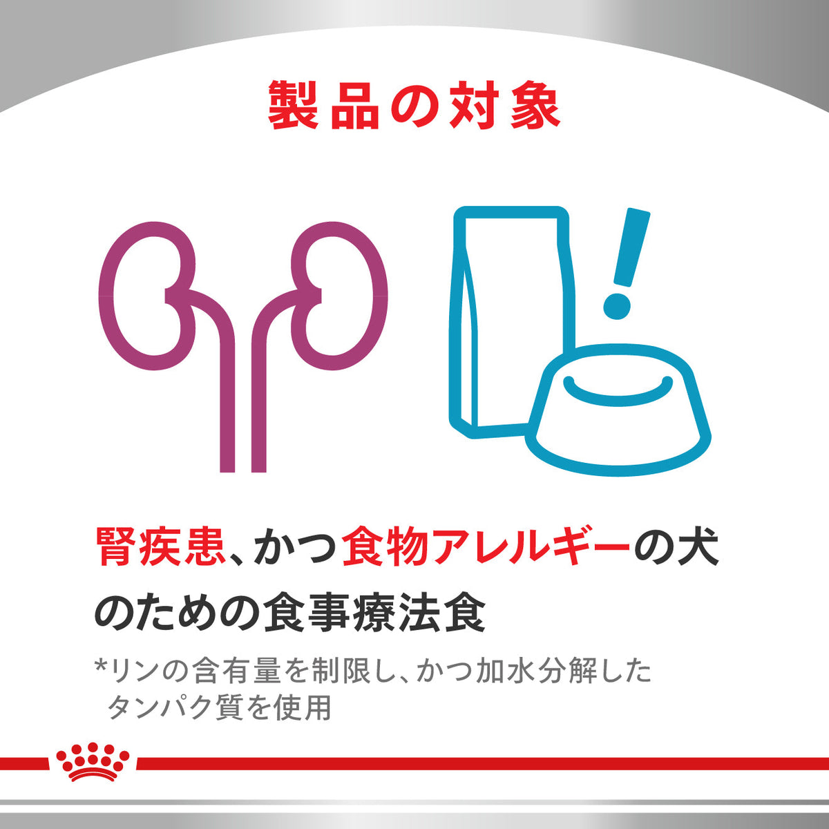 犬用　腎臓サポート＋低分子プロテイン 小粒 ドライ