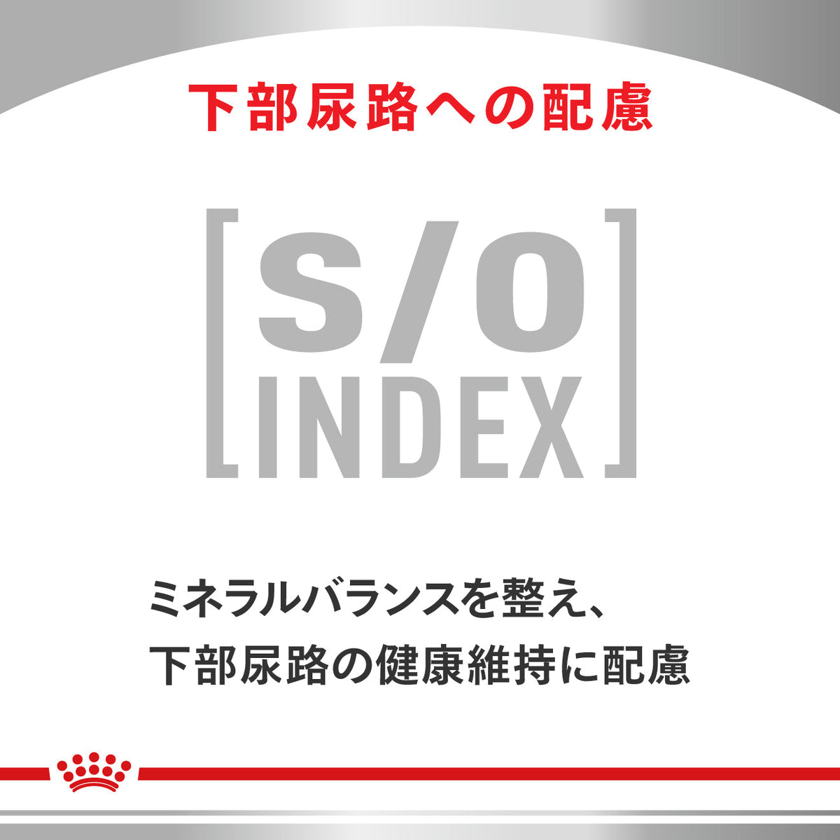 犬用　ユリナリーS/O ライト ウェット パウチ