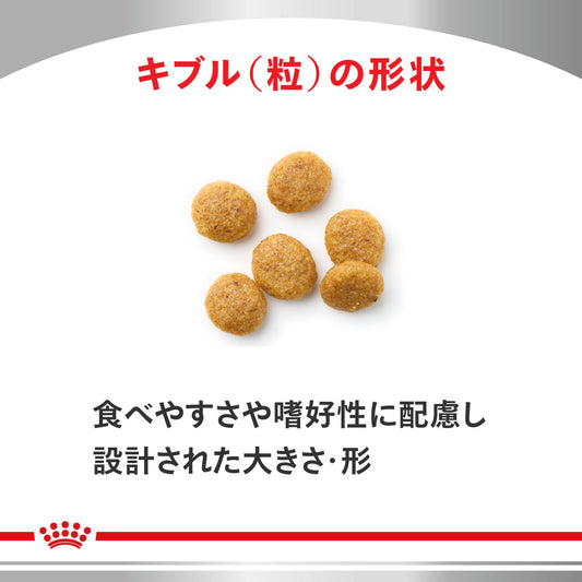 犬用　ユリナリーS/O ライト 小粒 ドライ