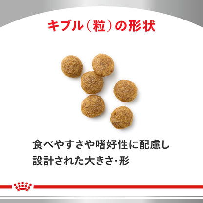 犬用　早期腎臓サポート 小粒 ドライ
