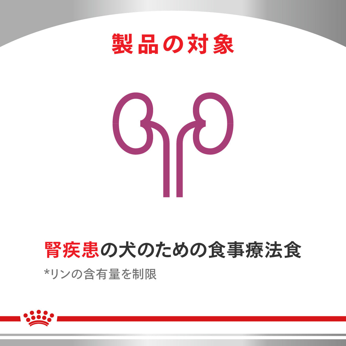 犬用　腎臓サポート  セレクション ドライ