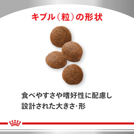 犬用　心臓サポート ドライ