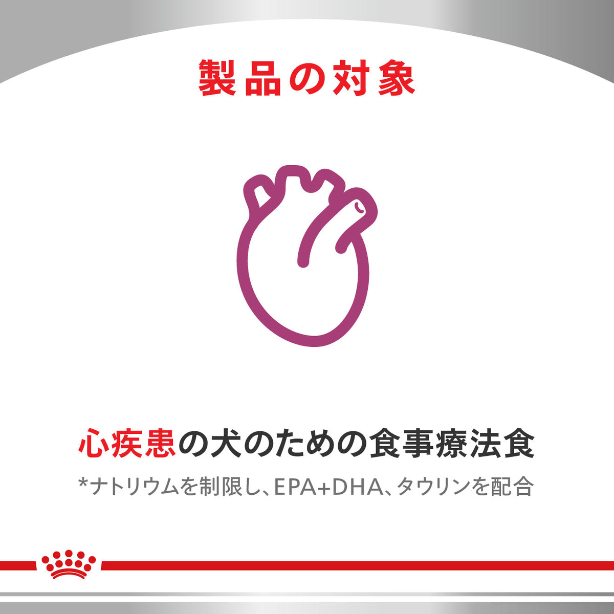 犬用　心臓サポート ドライ