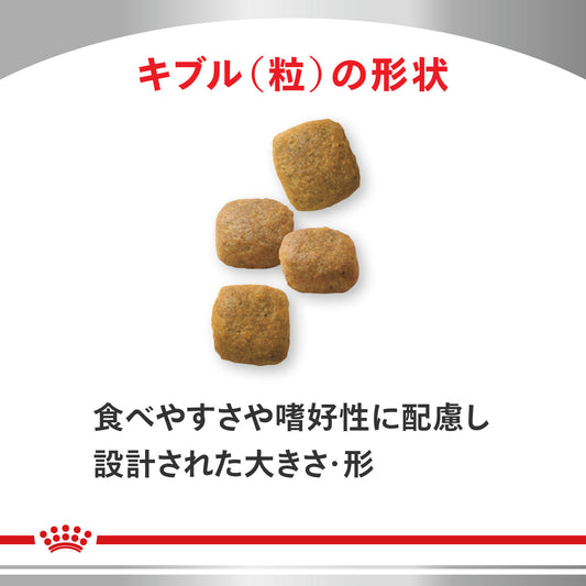 犬用　関節サポート ドライ