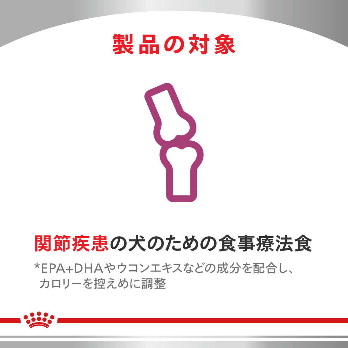 犬用　関節サポート ドライ