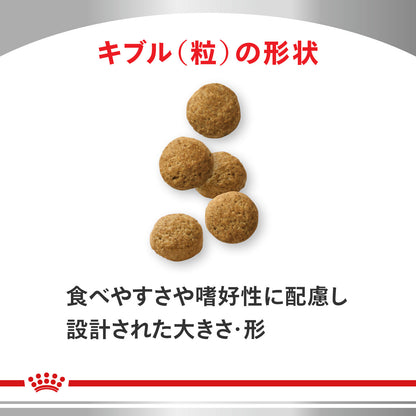 犬用　満腹感サポート 小型犬用 ドライ