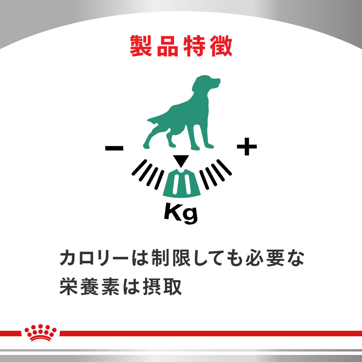 犬用　満腹感サポート ウェット 缶