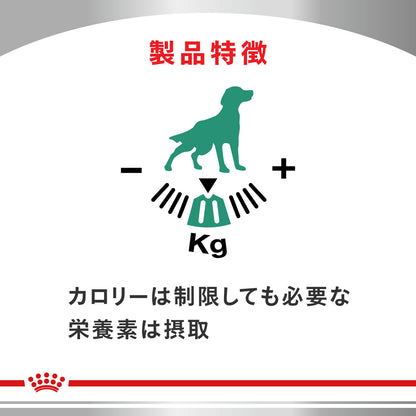 犬用　満腹感サポート ウェット 缶