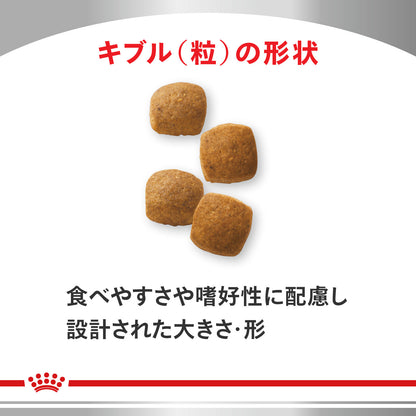 犬用　糖コントロール ドライ